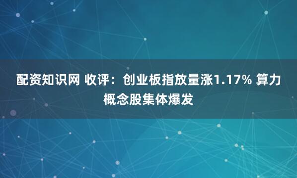 配资知识网 收评：创业板指放量涨1.17% 算力概念股集体爆发