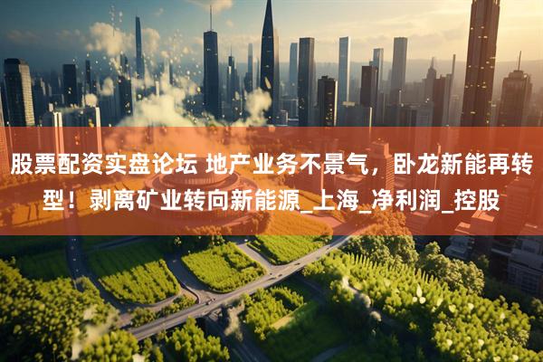 股票配资实盘论坛 地产业务不景气，卧龙新能再转型！剥离矿业转向新能源_上海_净利润_控股