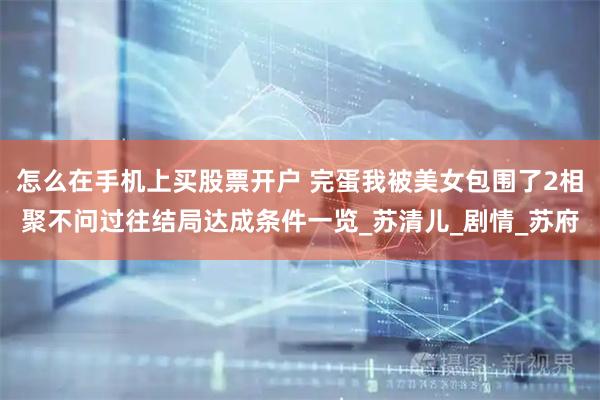 怎么在手机上买股票开户 完蛋我被美女包围了2相聚不问过往结局达成条件一览_苏清儿_剧情_苏府